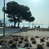 Arrivano le panchine “comunitarie”