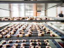 A Verbania si inaugura il nuovo laboratorio di Banda Biscotti A Verbania si inaugura il nuovo laboratorio di Banda Biscotti