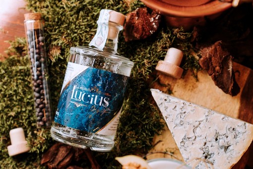 È piemontese il primo gin al Gorgonzola È piemontese il primo gin al Gorgonzola