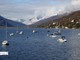 Pesca sul lago Maggiore, modifiche ai divieti in primavera e nuove zone di tutela