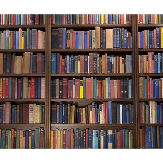 Quasi un milione di euro per il Libro e la lettura: approvata la graduatoria dei progetti finanziati dalla Regione per il 2025