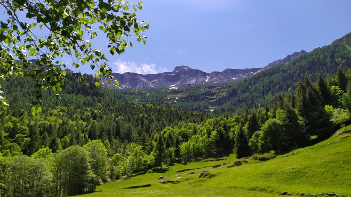 Montagna e dissesto idrogeologico, la Regione finanzia interventi in 6 comuni del Vco