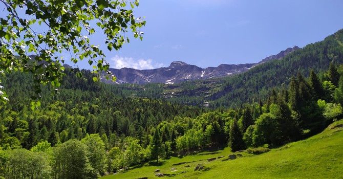 Giornata Internazionale della Montagna: il Piemonte guida la strategia nazionale per lo sviluppo delle terre alte Giornata Internazionale della Montagna: il Piemonte guida la strategia nazionale per lo sviluppo delle terre alte