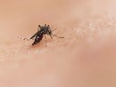National institute of allergy and infectious diseases- tramite Unsplash National institute of allergy and infectious diseases- tramite Unsplash