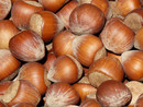 Nocciole, l'allarme di Confagricoltura Piemonte: &quot;Negli ultimi tre anni perso il 50% del raccolto&quot;