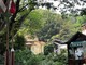 Giardini Botanici, intervento urgente sulla Quercia Monumentale: messa in sicurezza per tutelare i visitatori