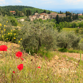 Capitale Rurale Italiana 2026, al via le candidature per i Comuni Capitale Rurale Italiana 2026, al via le candidature per i Comuni