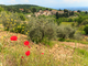 Capitale Rurale Italiana 2026, al via le candidature per i Comuni Capitale Rurale Italiana 2026, al via le candidature per i Comuni