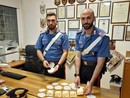Nasconde la cocaina nel serbatoio dei liquidi per i tergicristalli, arrestato 36enne