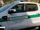 Polizia provinciale, nel 2024 sono cresciute le attività per il controllo dei cinghiali