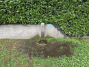 La fontana al parco giochi di Feriolo La fontana al parco giochi di Feriolo