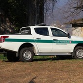 Caccia agli ungulati, oltre 10mila euro di sanzioni tra Montecrestese e Macugnaga Caccia agli ungulati, oltre 10mila euro di sanzioni tra Montecrestese e Macugnaga