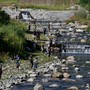 I pescatori tornano a sollecitare Tecnoparco sul problema cormorani