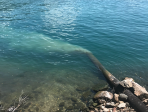 “Ma che cosa si scarica nel Lago Maggiore?”