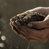 L’allarme di Coldiretti Piemonte: &quot;La cementificazione ci costa 1,2 miliardi di euro di cibo all’anno&quot;