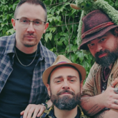 “Nel bosco dei Nemus”: a Casa Ceretti un viaggio musicale