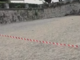 Ordigno bellico sulla spiaggia di Villa Fedora, arrivano gli artificieri Ordigno bellico sulla spiaggia di Villa Fedora, arrivano gli artificieri