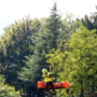 Cercatore di funghi cade nei boschi della Valle Strona e si ferisce alla testa VIDEO