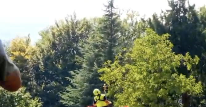 Cercatore di funghi cade nei boschi della Valle Strona e si ferisce alla testa VIDEO