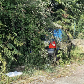 Pallanza, la segnalazione: "Auto tra i rovi, buche e una grata sprofondata" FOTO