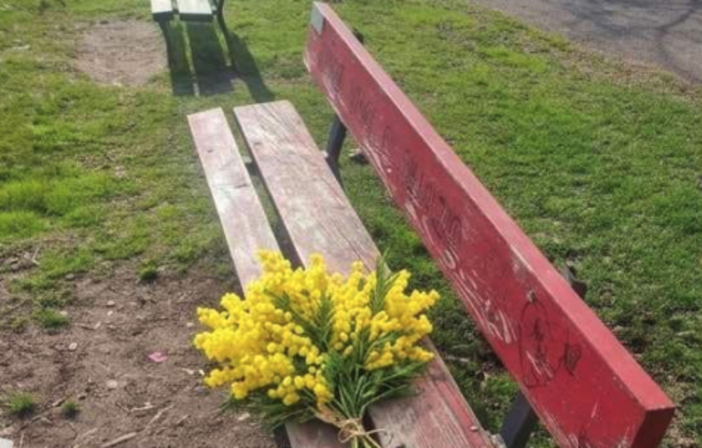 Panchine rosse contro la violenza sulle donne, il M5S chiede più attenzione alla manutenzione