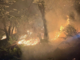 Incendi nei boschi del Vco, roghi ancora attivi in cinque diverse zone Incendi nei boschi del Vco, roghi ancora attivi in cinque diverse zone