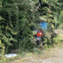 Pallanza, la segnalazione: "Auto tra i rovi, buche e una grata sprofondata" FOTO Pallanza, la segnalazione: "Auto tra i rovi, buche e una grata sprofondata" FOTO