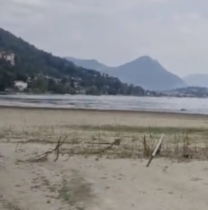Lago basso, volontari in Sup per ripulire il Canneto di Fondotoce Lago basso, volontari in Sup per ripulire il Canneto di Fondotoce