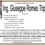 Ing. Giuseppe Romeo Tripepi83 anni Ing. Giuseppe Romeo Tripepi83 anni