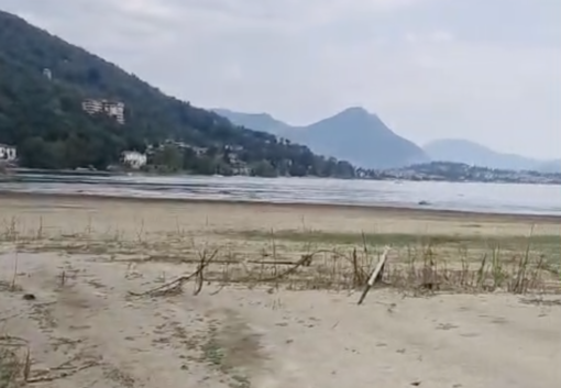Toce, la siccità cambia il volto della foce: in secca il Canneto VIDEO Toce, la siccità cambia il volto della foce: in secca il Canneto VIDEO