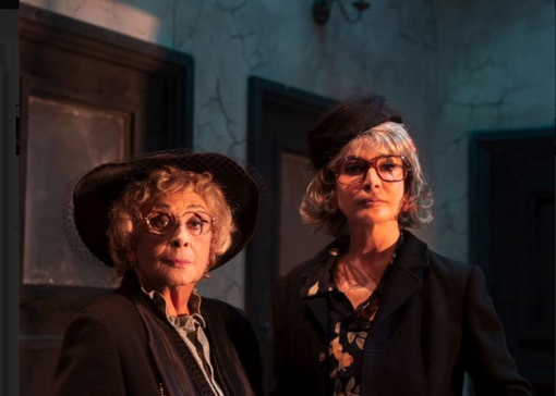 Al Maggiore va in scena la commedia 'Le Signorine' con Isa Danieli e Giuliana De Sio Al Maggiore va in scena la commedia 'Le Signorine' con Isa Danieli e Giuliana De Sio