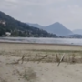 Lago basso, volontari in Sup per ripulire il Canneto di Fondotoce Lago basso, volontari in Sup per ripulire il Canneto di Fondotoce