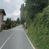 Senso unico alternato sulla strada del Lago Maggiore a Ghiffa per lavori sugli alberi Senso unico alternato sulla strada del Lago Maggiore a Ghiffa per lavori sugli alberi