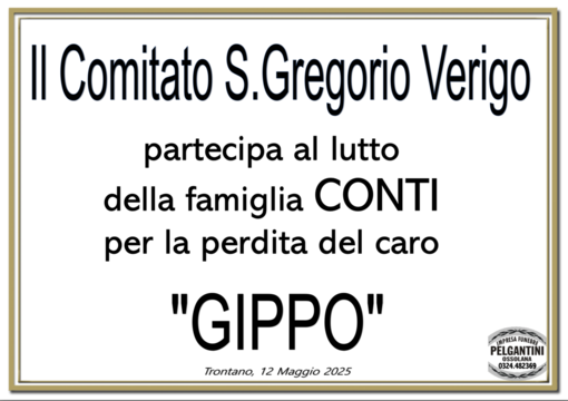 Partecipazione