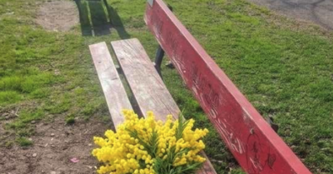 Panchine rosse contro la violenza sulle donne, il M5S chiede più attenzione alla manutenzione