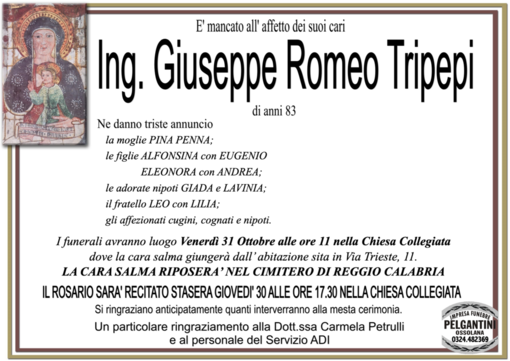 Ing. Giuseppe Romeo Tripepi83 anni Ing. Giuseppe Romeo Tripepi83 anni