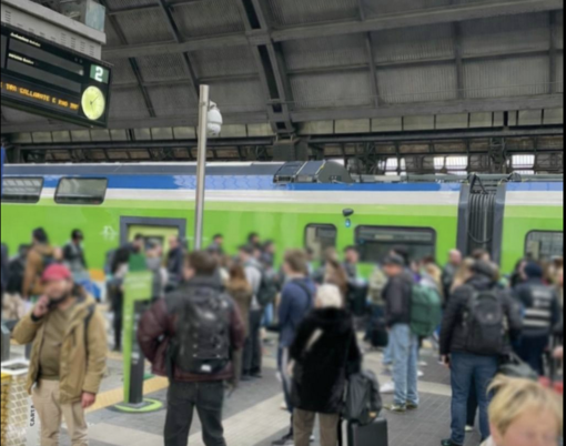 Disagi sulla Domodossola-Milano, Vitale dopo la richiesta di Gusmeroli a Rfi: "Basta incontri, servono fatti concreti"