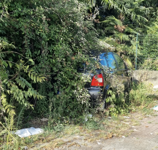 Pallanza, la segnalazione: "Auto tra i rovi, buche e una grata sprofondata" FOTO Pallanza, la segnalazione: "Auto tra i rovi, buche e una grata sprofondata" FOTO