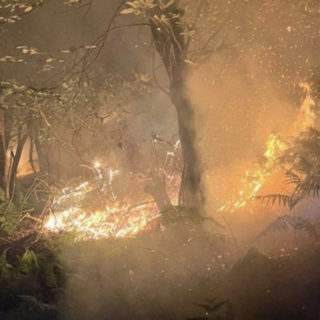 Incendi nei boschi del Vco, roghi ancora attivi in cinque diverse zone