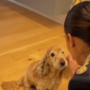 La Polizia di Stato contro l'abbandono degli animali: online il nuovo spot estivo VIDEO La Polizia di Stato contro l'abbandono degli animali: online il nuovo spot estivo VIDEO