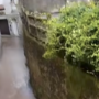 Cireggio, nuovi allagamenti in via Mozzalina dopo il forte temporale VIDEO Cireggio, nuovi allagamenti in via Mozzalina dopo il forte temporale VIDEO