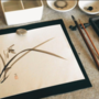 “Sumi-E”: al via in biblioteca al nuovo corso di pittura giapponese