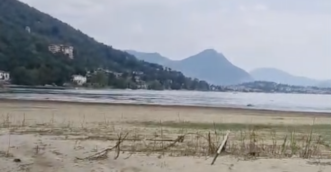Toce, la siccità cambia il volto della foce: in secca il Canneto VIDEO Toce, la siccità cambia il volto della foce: in secca il Canneto VIDEO