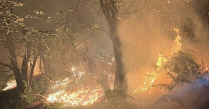 Incendi nei boschi del Vco, roghi ancora attivi in cinque diverse zone Incendi nei boschi del Vco, roghi ancora attivi in cinque diverse zone