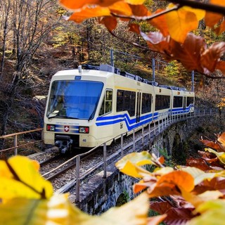 Tutte le sfumature dell’autunno nel Distretto dei Laghi: tra foliage, trekking, sapori ed eventi