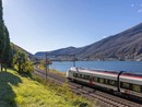 Trenitalia e Ffs rinnovano la collaborazione per i collegamenti fra Italia e Svizzera Trenitalia e Ffs rinnovano la collaborazione per i collegamenti fra Italia e Svizzera