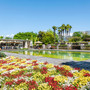 I Giardini di Villa Taranto si rinnovano: nuove fioriture e sorprese per i visitatori