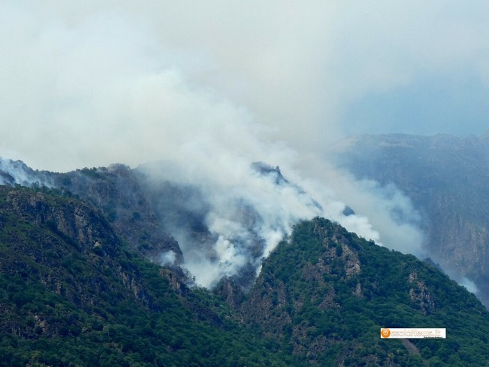Val Grande, gli interventi per salvare una farfalla rara frenano le fiamme Val Grande, gli interventi per salvare una farfalla rara frenano le fiamme