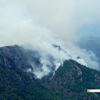 Val Grande, gli interventi per salvare una farfalla rara frenano le fiamme