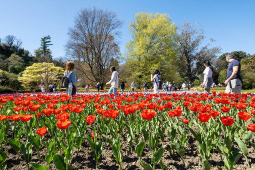 Villa Taranto, l'amministrazione replica: "Nessuna trasformazione, ma una corretta qualificazione giuridica"